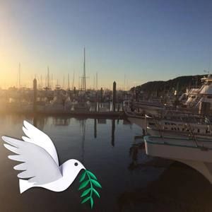 Meet your Posher, Danny